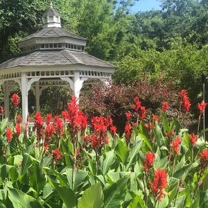 Meet your Posher, Mica